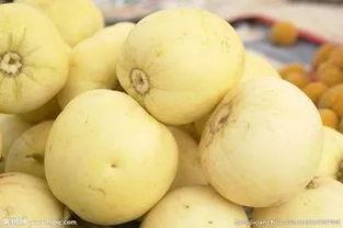 瓜香甜瓜咋吃管理,美味食用的管理之道