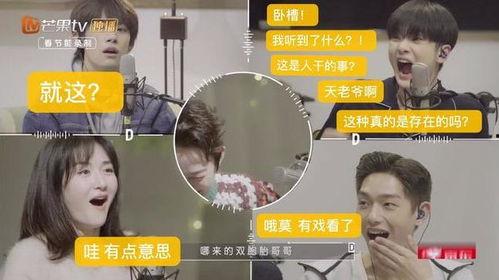 吃瓜电台音乐,旋律中的瓜界风云