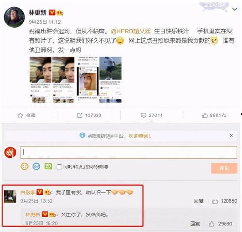 评论区吃瓜网站,吃瓜群众的狂欢盛宴