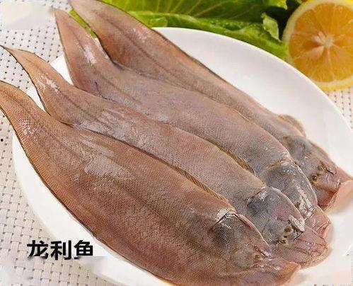 八瓜鱼吃海星