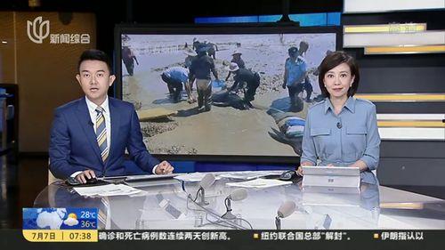 陆晨吃瓜系统,揭秘娱乐圈幕后真相