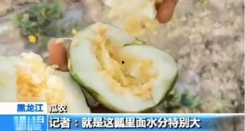 无锡本地吃瓜