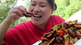 胖妹吃瓜视频大全,趣味横生的娱乐盛宴