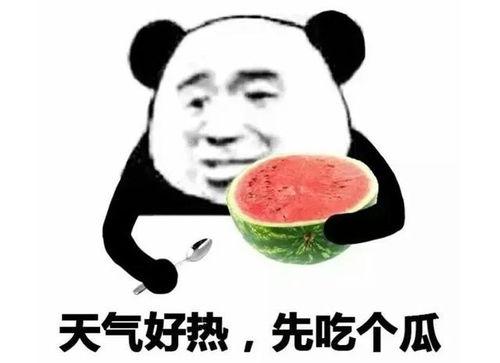 吃瓜连环表情包